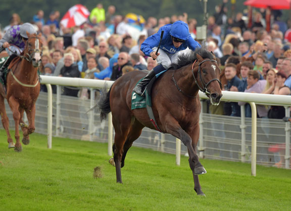 Blue Point (thoroughbreddailynews)