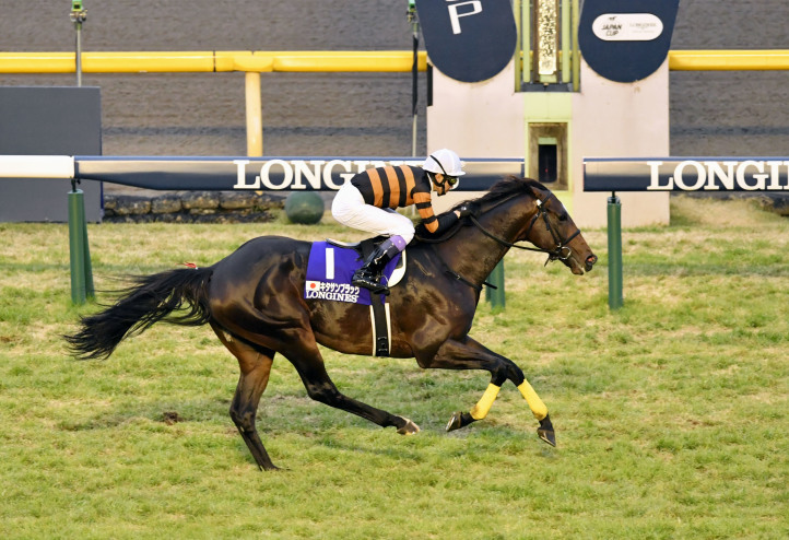 Итоги Japan Cup 2016