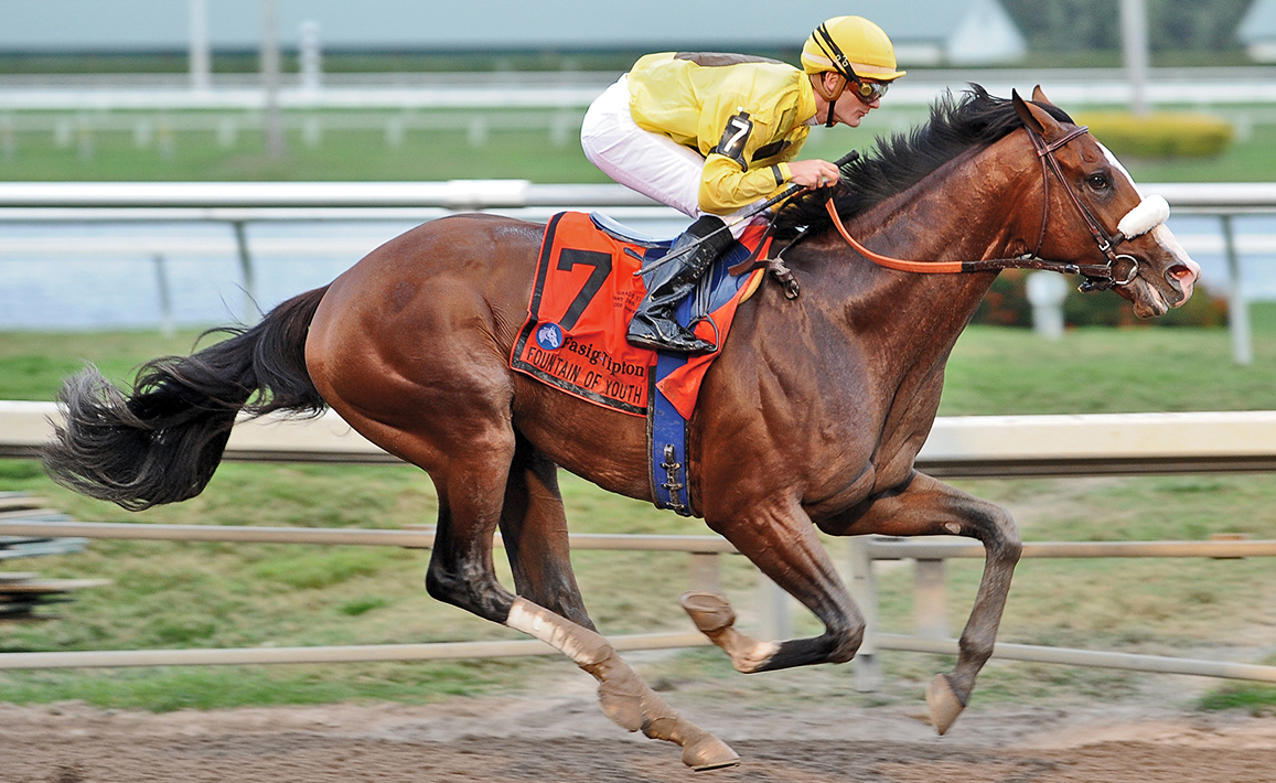 Union Rags — лидер первой ставки