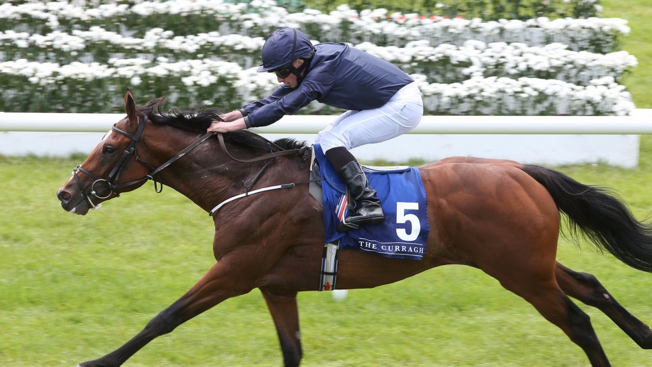Ирландский Сент Леджер и National Stakes
