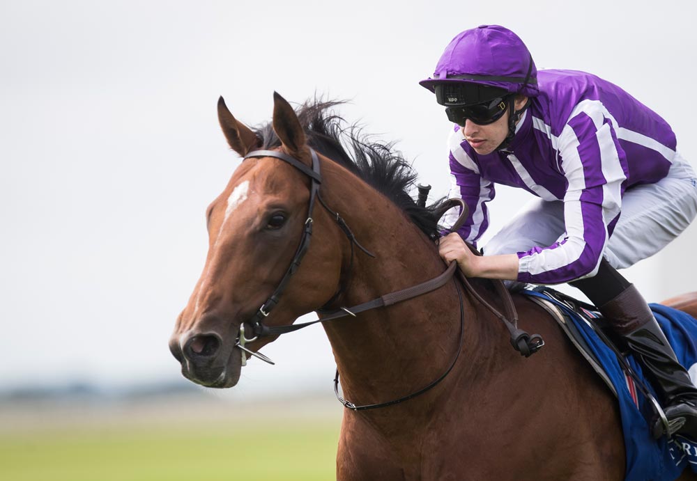 Racing Post Trophy 2017